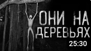 они на деревьях.. страшные истории на ночь.