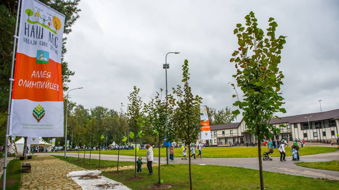 Реклама в парках отдыха. Фасад Медиа Групп смотреть онлайн