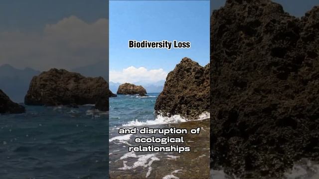 Biodiversity Loss @ ATO URBAN #long смотреть онлайн