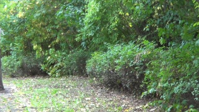 @Pozitiv TV Самара парк Молодёжный.💕💕💕🔥🖐️ смотреть онлайн