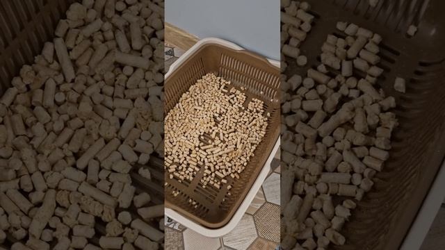 куда сыпать наполнитель? на сетку или под сетку?))) смотреть онлайн
