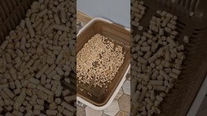 куда сыпать наполнитель? на сетку или под сетку?)))