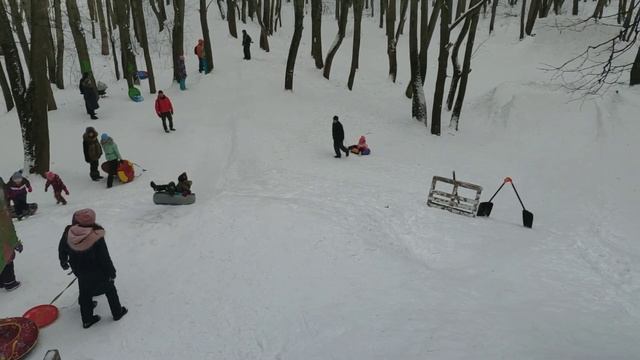 Сноубордисты,лыжники,собаки-все смешались в Подмосковном лесу МФТИ.