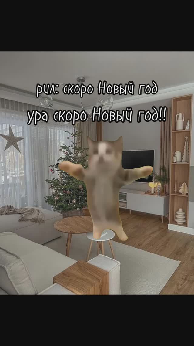 КОТИКИ готовятся к НОВОМУ ГОДУ - мемы и приколы с котами смотреть онлайн
