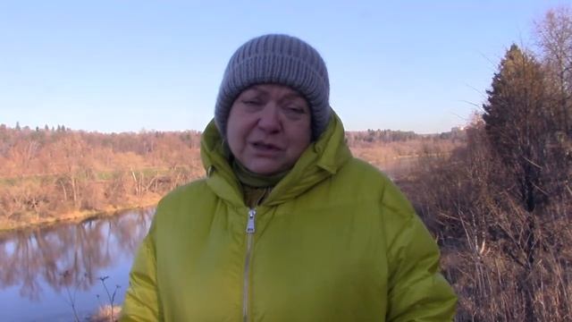 Н.Ходзинская об «оптимизации»