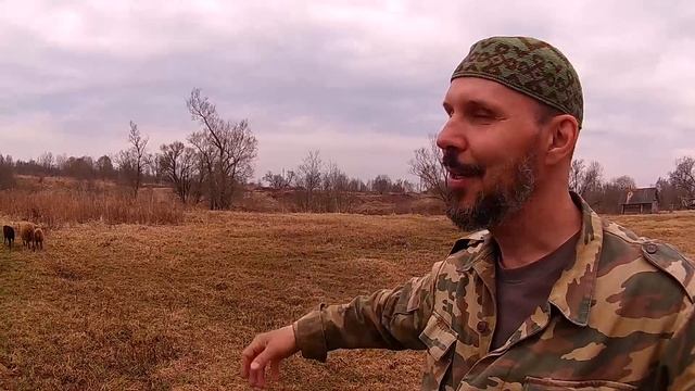 Стихия, овцы, Мурзон, индейки \\ В деревню!