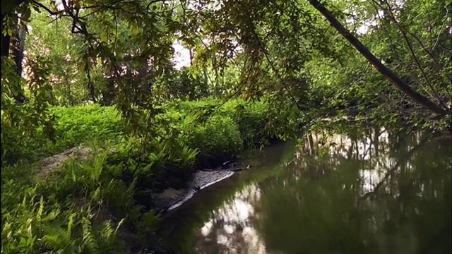 Практика Очищение водой