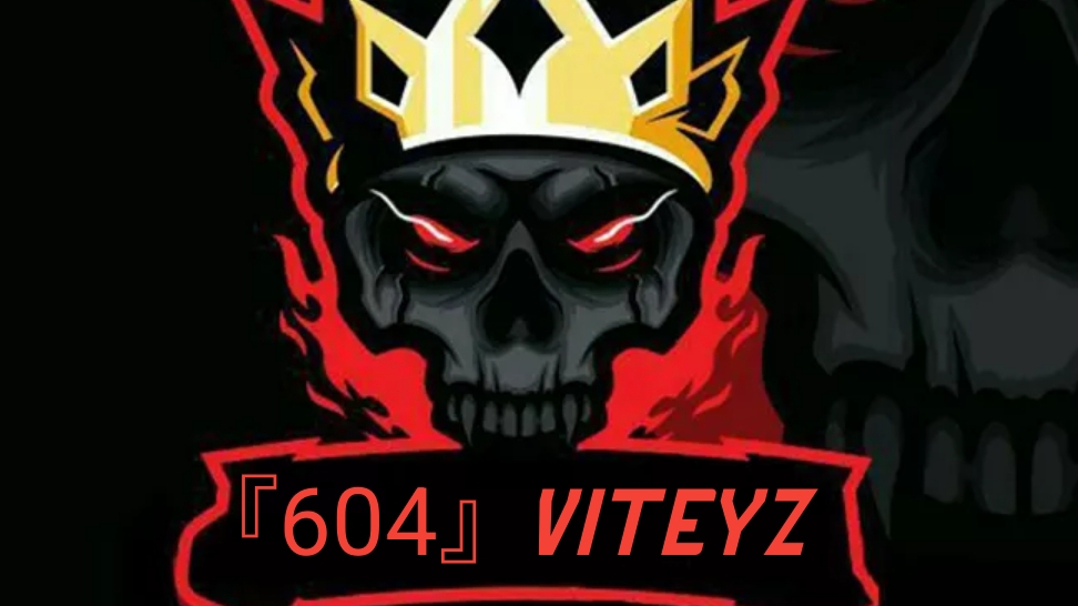 pubg mobile 『604』VITEYZ