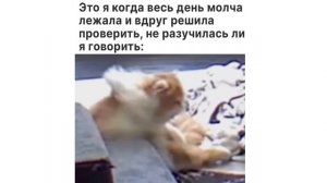 5D-мемы. РЖУ ДО СИХ ПОР! ))) Приколы | Мемозг 1415
