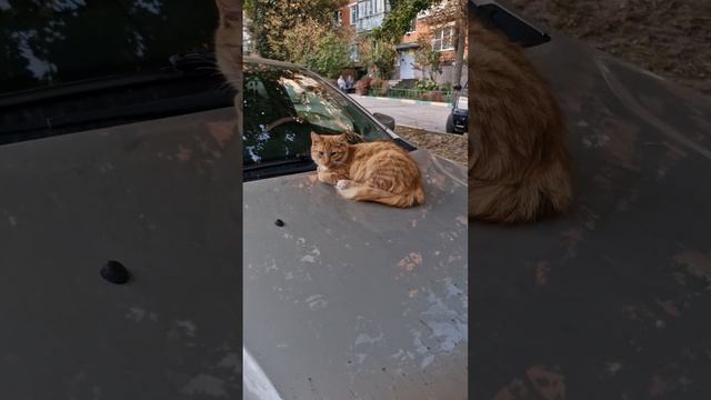 Вот и поговорили смотреть онлайн