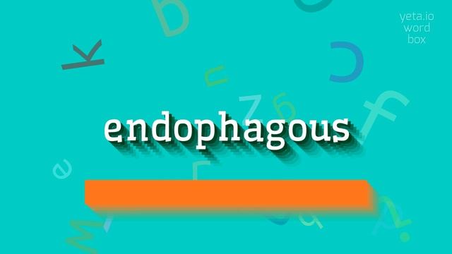 ENDOPHAGOUS - HOW TO SAY ENDOPHAGOUS? смотреть онлайн