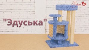 Процесс сборки комплекса «Эдуська»