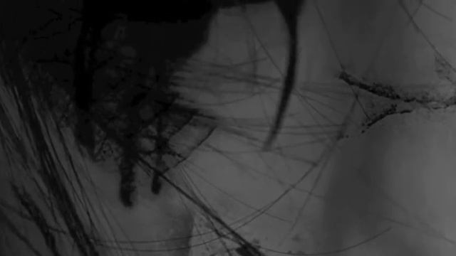 Martyrs That Crumble Teaser (Instrumental) смотреть онлайн