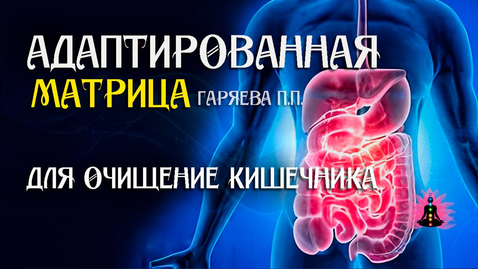 Очищение кишечника 🌀 Адаптированная программа матрица ☀️ SoftRadio.ru смотреть онлайн