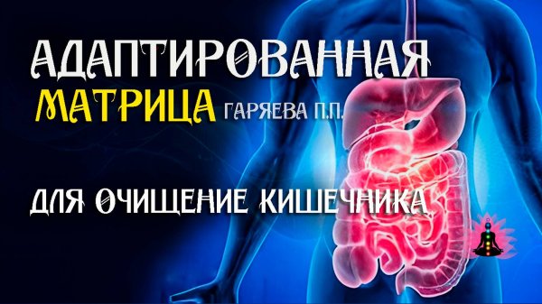 Очищение кишечника  🌀 Адаптированная программа матрица ☀️ SoftRadio.ru