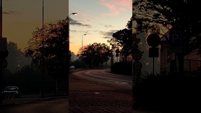 the morning is early, the sun is waking up, life wakes up#2024 смотреть онлайн