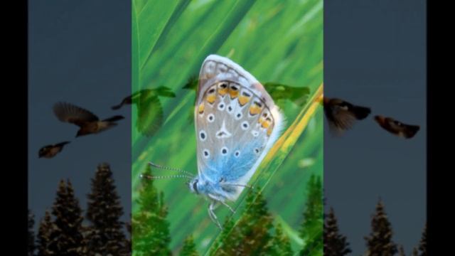 Фотовыставка 