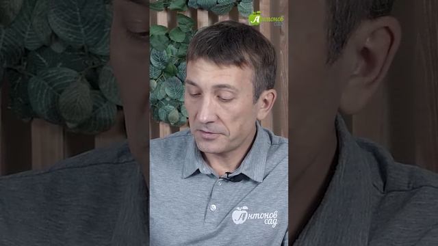 Сделайте горшочки для рассады своими руками! Часть 2. смотреть онлайн