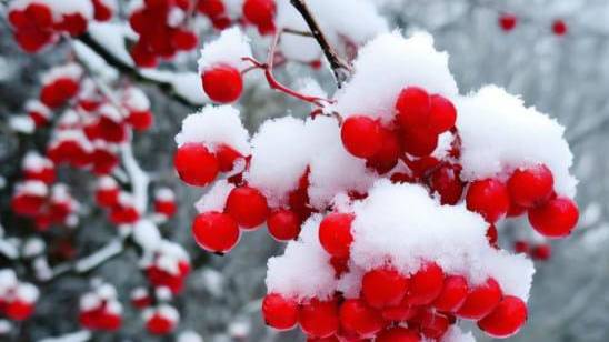 Удачного и счастливого дня! смотреть онлайн