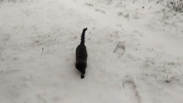 Октябрь 2023 в Родовом поместье Ве Лес смотреть онлайн