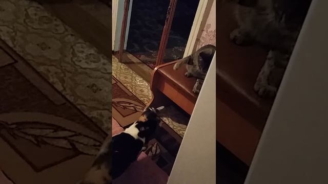 Выпросил смотреть онлайн