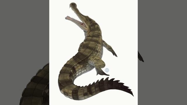 Sarcosuchus imperator reconstruction sounds смотреть онлайн
