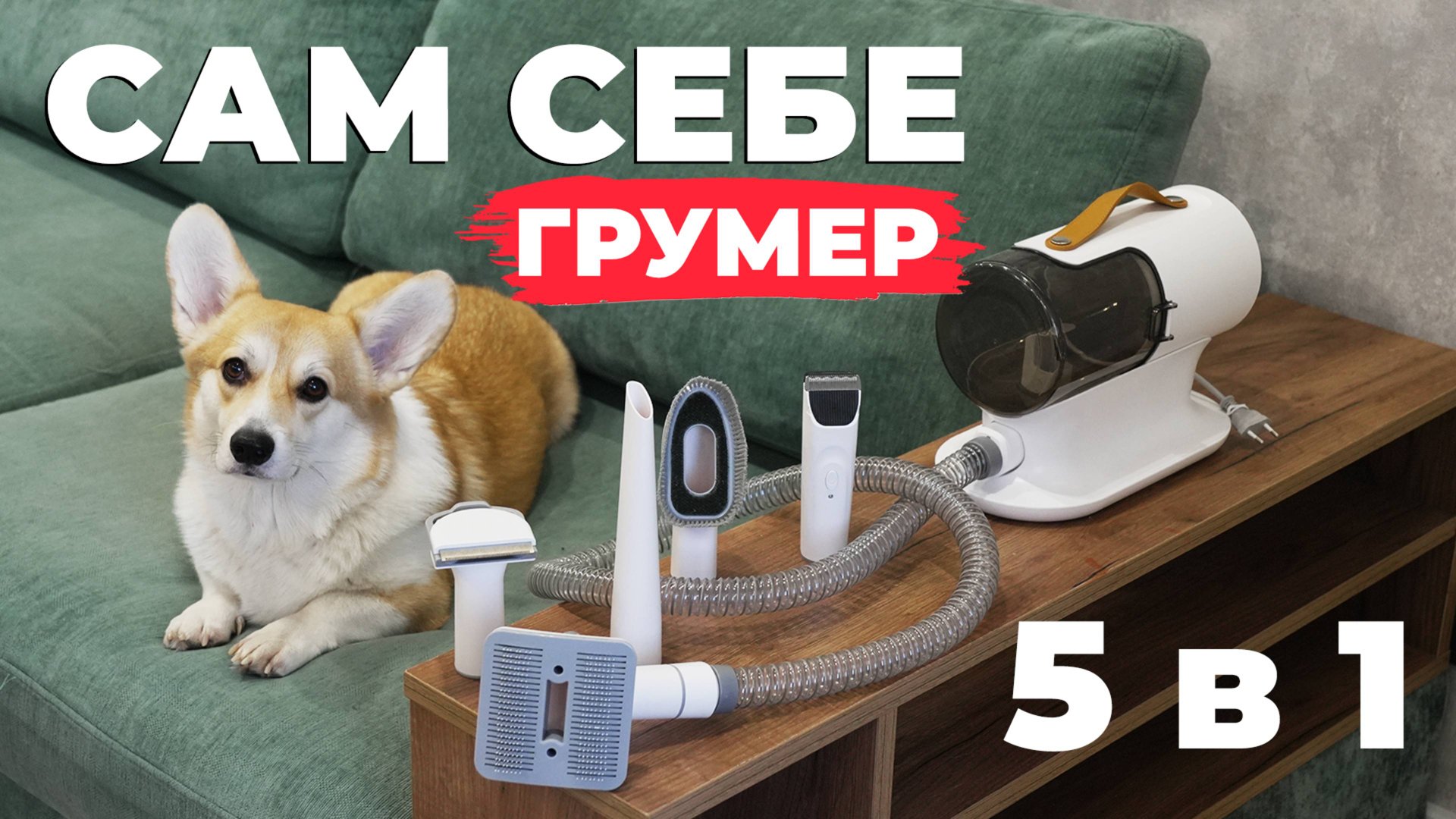 Genio Pet i50: пылесос для груминга✂️😺🐶 Набор из 5 насадок🔥 ОБЗОР и ТЕСТ✅ смотреть онлайн