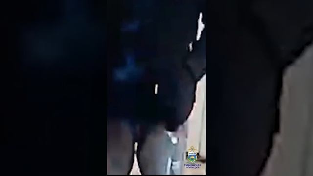 #shorts Участковый уполномоченный полиции в Тюмени раскрыл кражу смотреть онлайн
