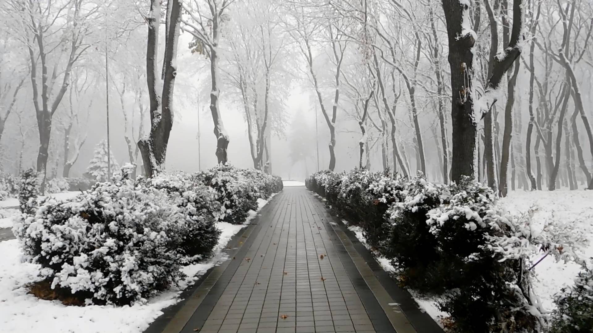 Заснеженный парк Победы в Ессентуках смотреть онлайн