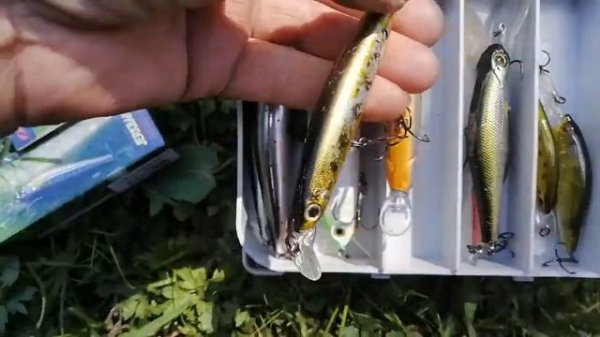 воблеры на щуку и окуня