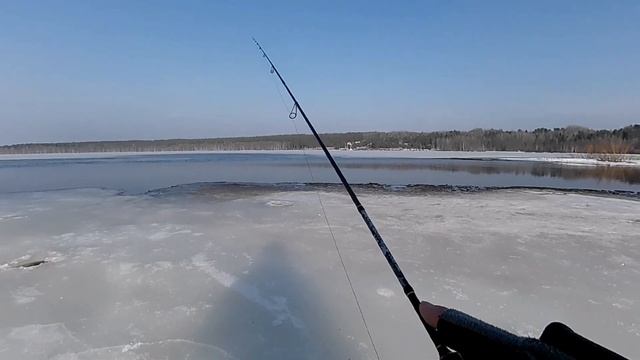спиннинг ранней весной. в поисках открытой воды.