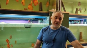 Вопросы на ответы .