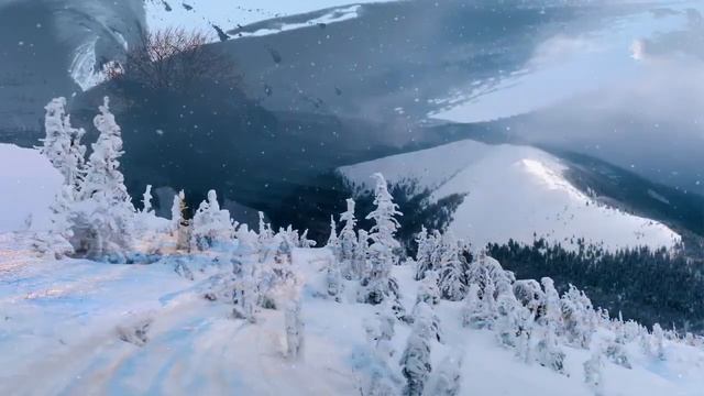 Видеоролик "Философия добра" смотреть онлайн