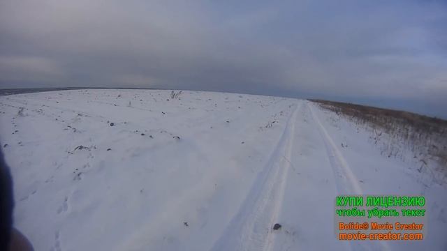 Охота на зайца 02.12.18 + куропатки. смотреть онлайн