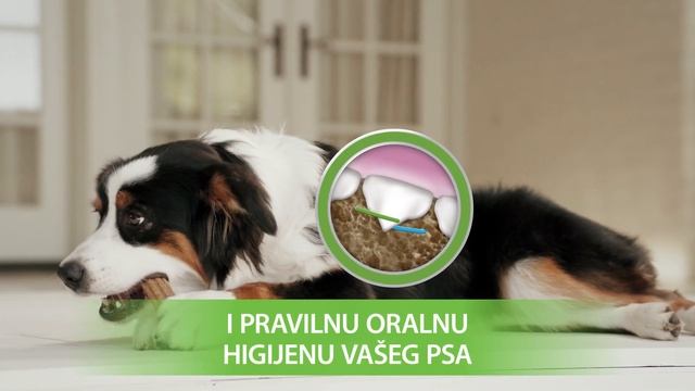 Purina® DENTALIFE™ (H 10') смотреть онлайн