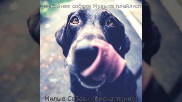 Моменты (Спящая собака) смотреть онлайн