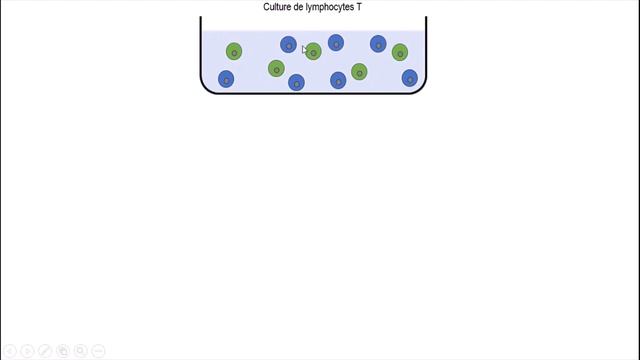 SVT - Première - Rôle des lymphocytes T CD4 (mise en évidence expérimentale) смотреть онлайн