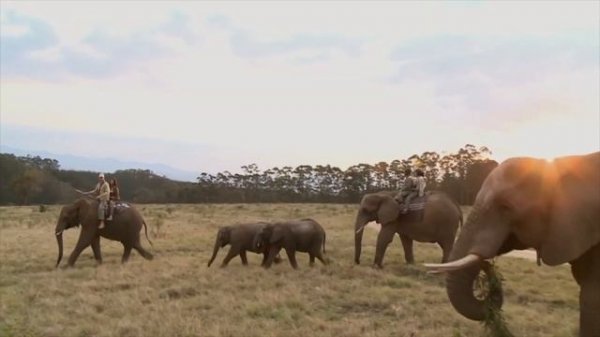 Встречи с животными 🐾 Тизер // Animal encounters
