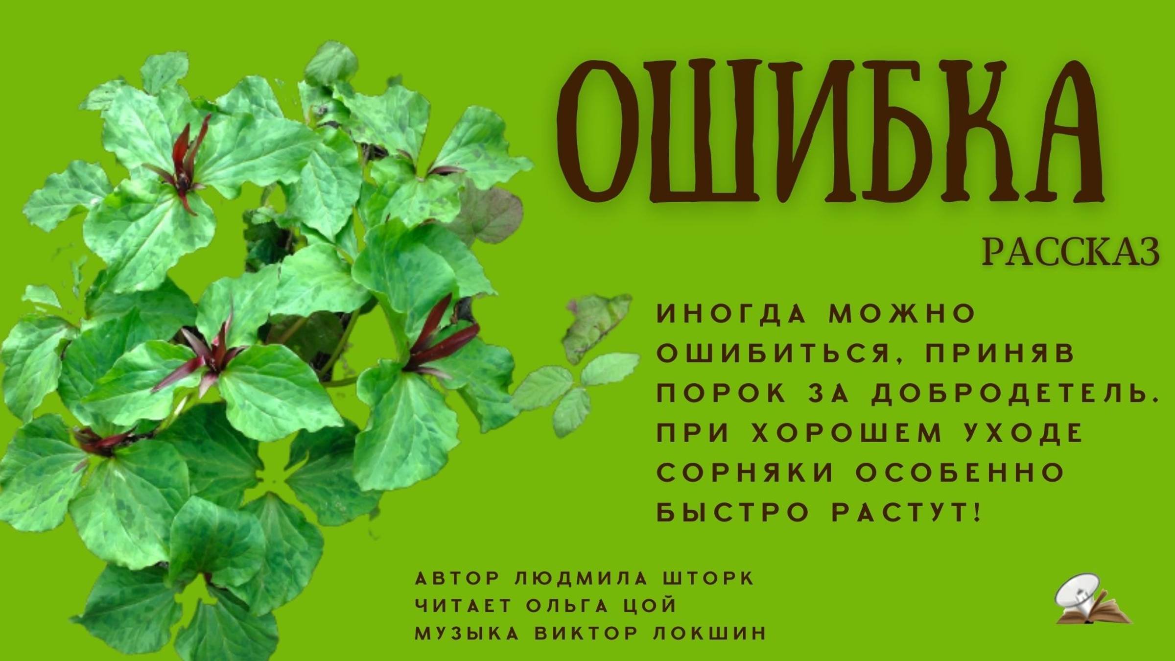 Ошибка. Рассказ смотреть онлайн