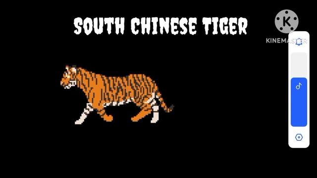 Animals are you ants - The kids picture show смотреть онлайн