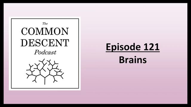 Episode 121 - Brains смотреть онлайн