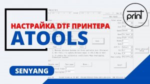 Настройка ATools для DTF принтера на плате SENYANG