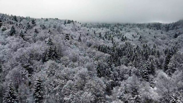Travelino Bulgaria смотреть онлайн
