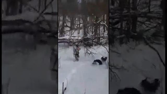 Охота в Астрахани смотреть онлайн