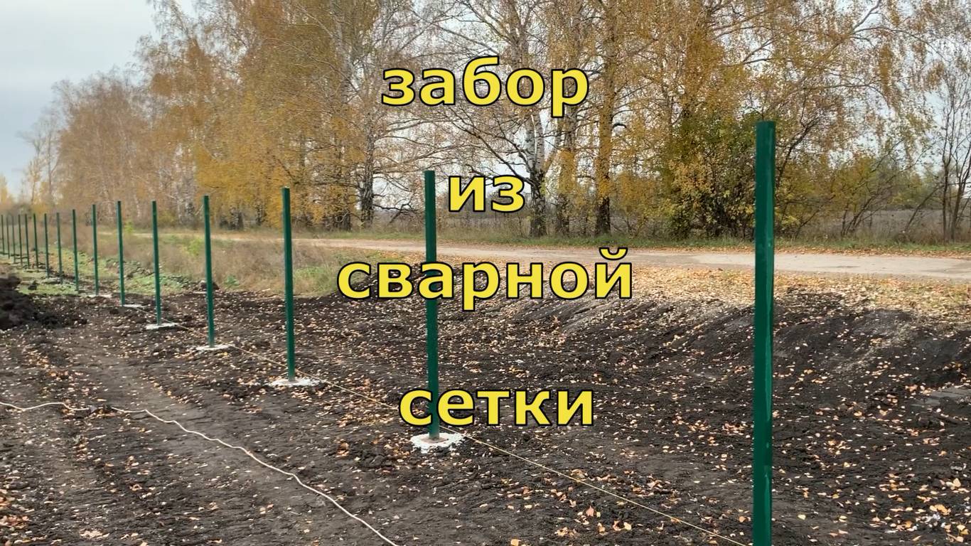 Забор из сварной сетки смотреть онлайн