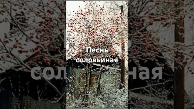 Песня Красота! Слава Богу за всё!..☀️ смотреть онлайн