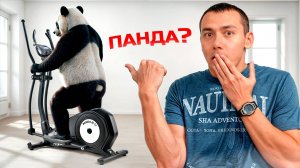 Недорогой и качественный эллипсоид? Честный обзор Proxima Panda III
