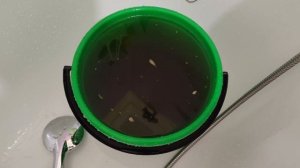 Tetra EX 1000 Plus ОТЗЫВ (спустя 8 мес.) Аквариум 100 литров.