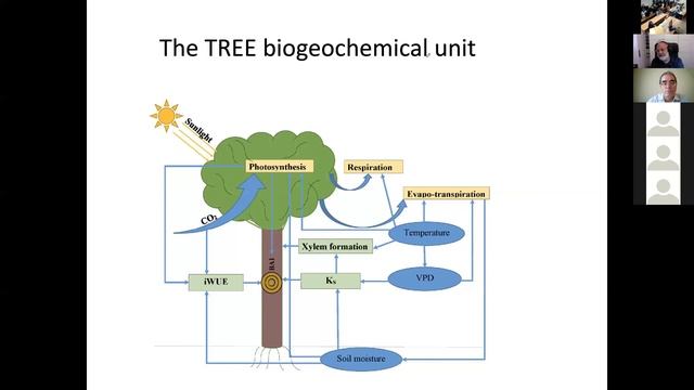 #ERASMUSDAYS at Timiryazev University Moscow