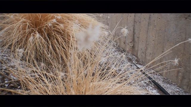 The Pancho Vlog смотреть онлайн